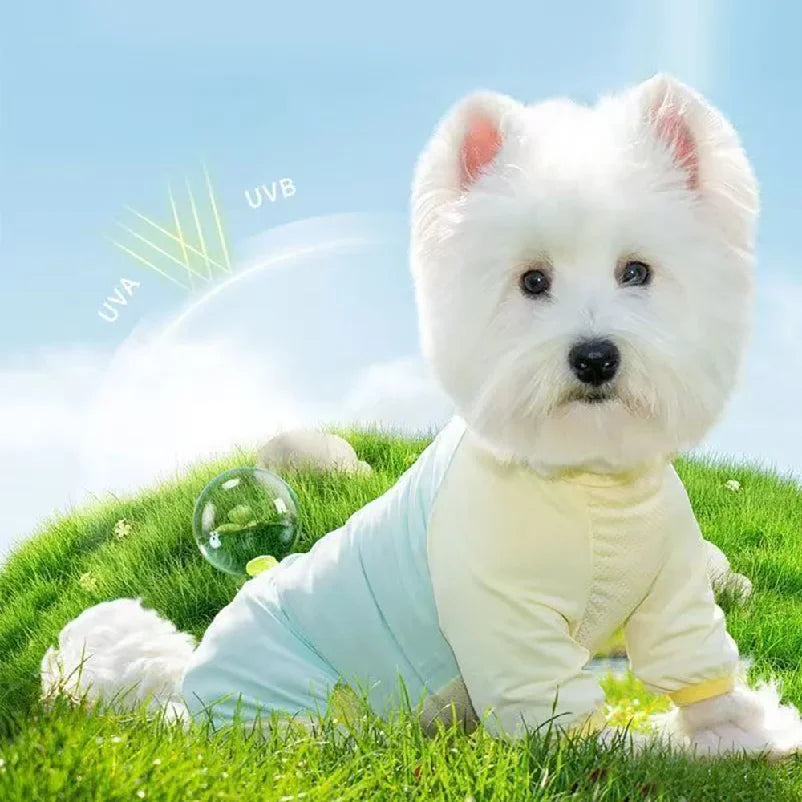 Dog Cooling Vest — Soak, Wring & Wear