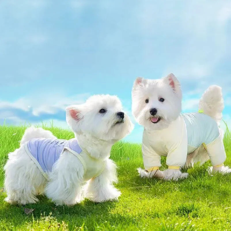 Dog Cooling Vest — Soak, Wring & Wear