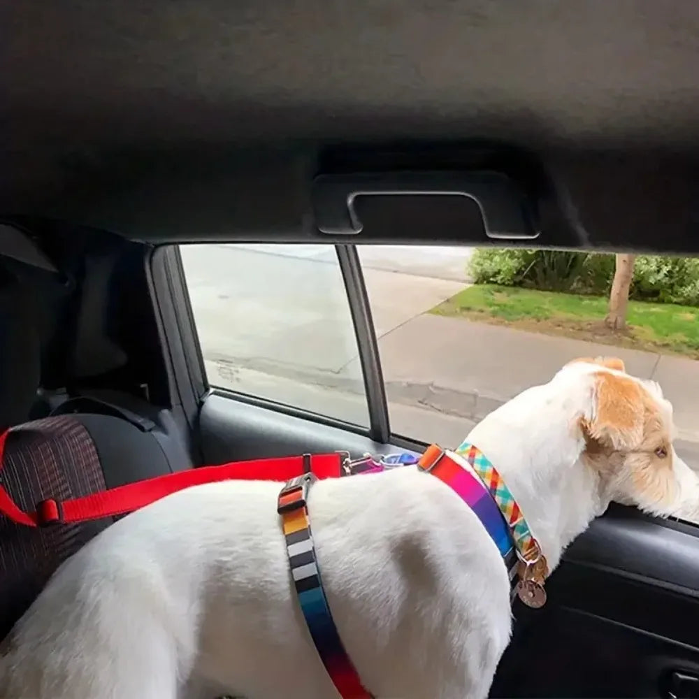 Dog Car Safety Restraint — Headrest 2-Pack