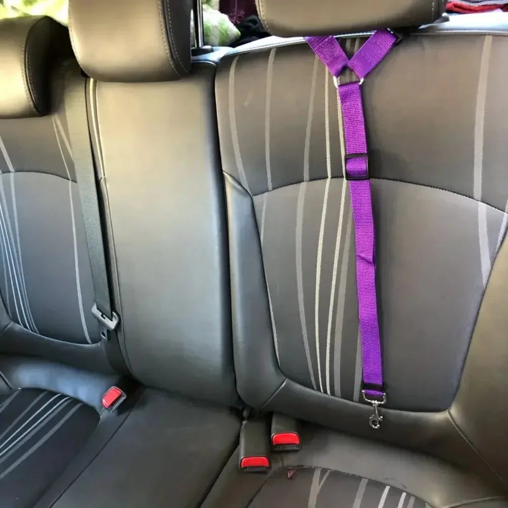 Dog Car Safety Restraint — Headrest 2-Pack
