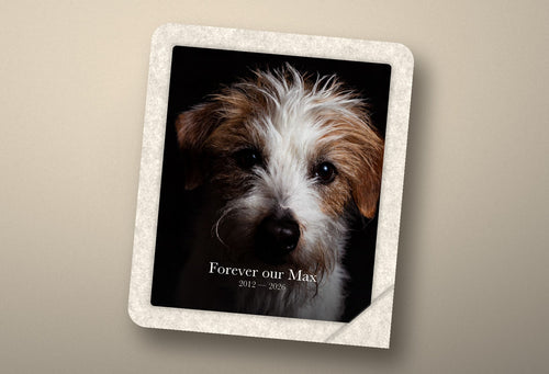 Personalized Pet Memorial Blanket