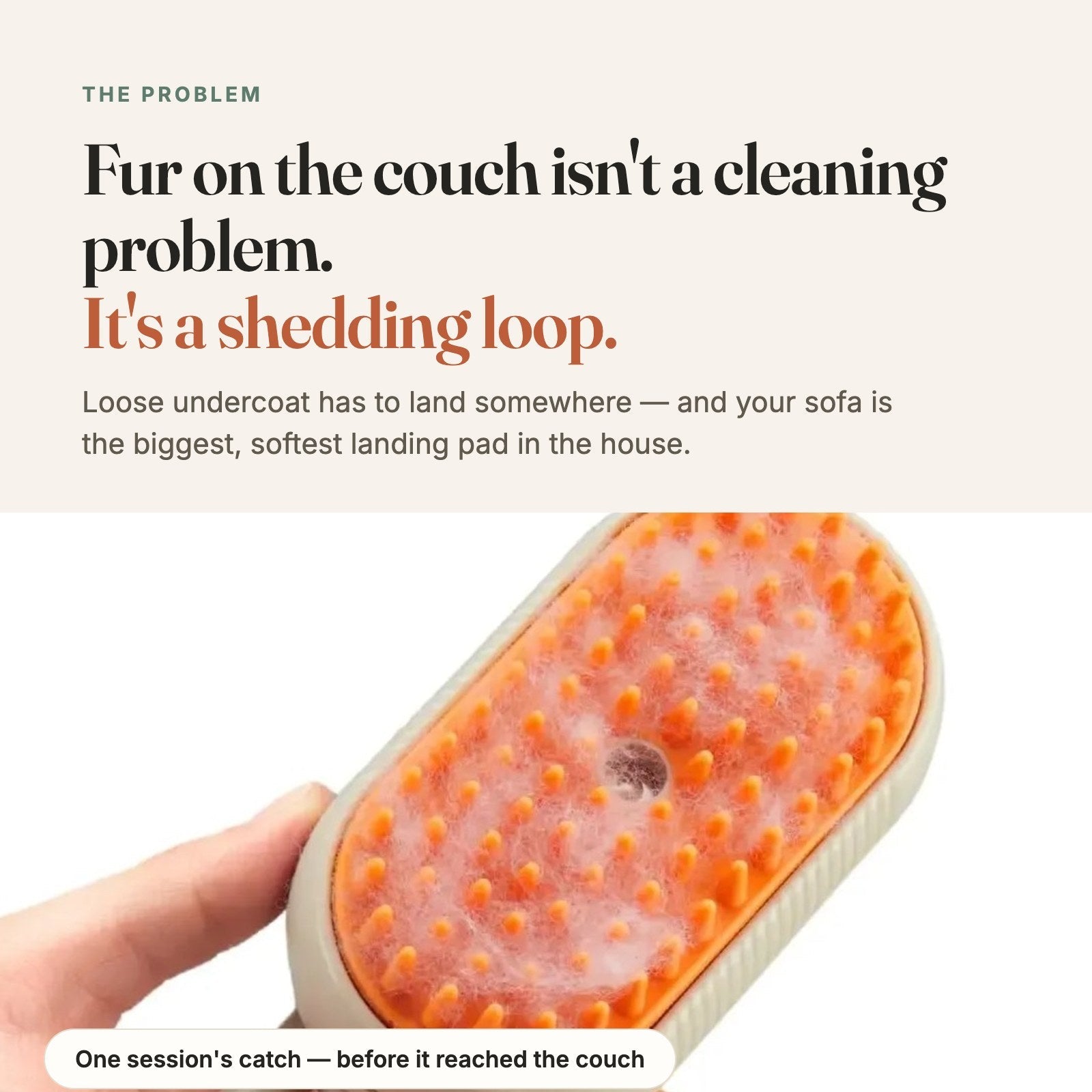 Story card: fur on the couch is a shedding loop — loose fur caught on the steam brush before it reached the couch