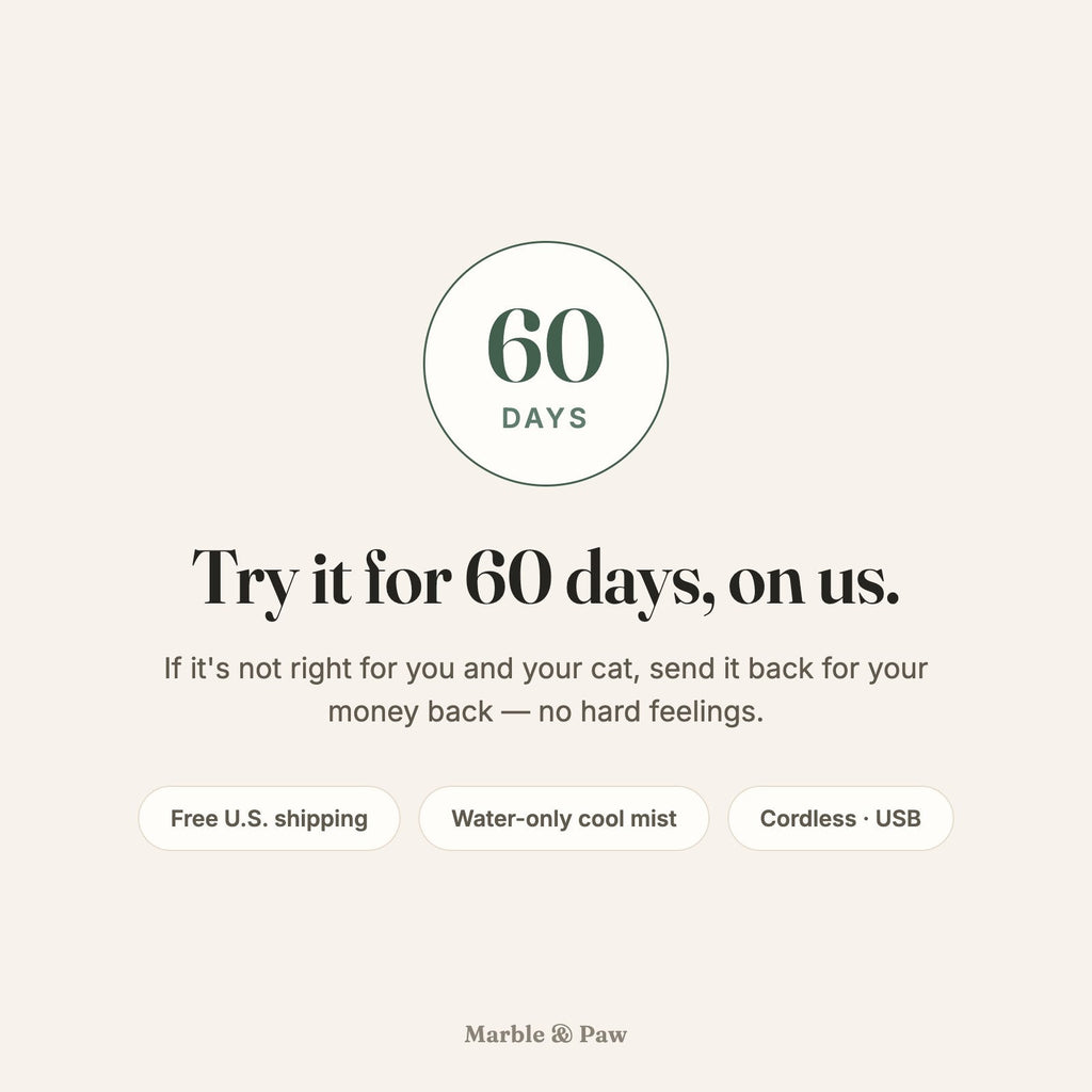 Guarantee card: try it for 60 days on us — 60-day money-back guarantee, free U.S. shipping, water-only cool mist, cordless USB