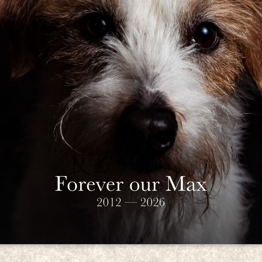 The pet's name and dates set in a quiet serif beneath their portrait